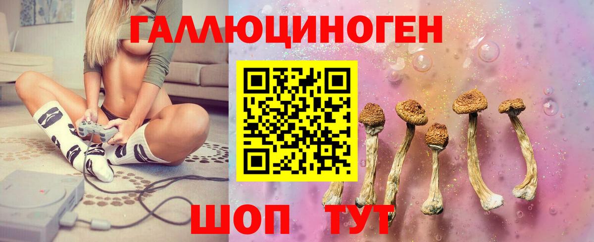 Псилоцибиновые грибы ЛСД Долгопрудный